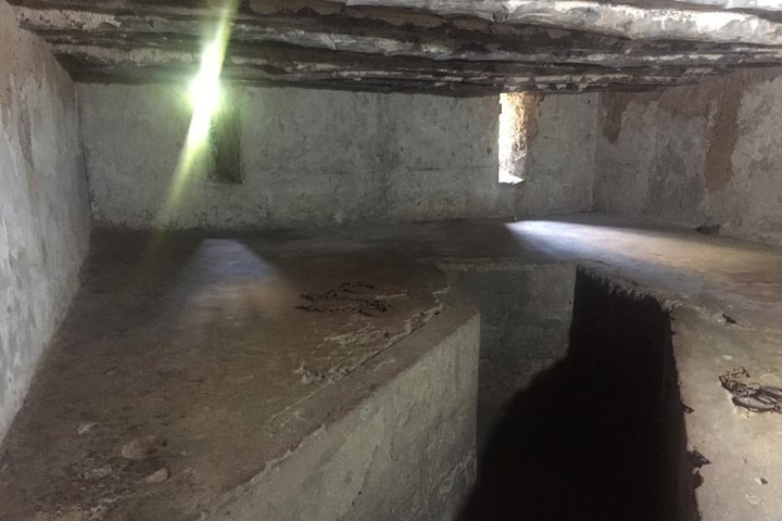 Stone Town, Spice Farm and Jozani Forest Private Tour - Photo 1 of 25