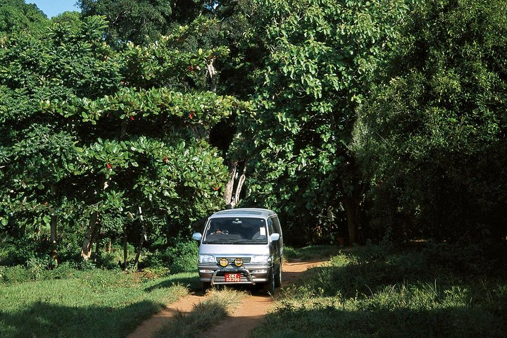 Sultan Panorama Tour - Photo 1 of 6