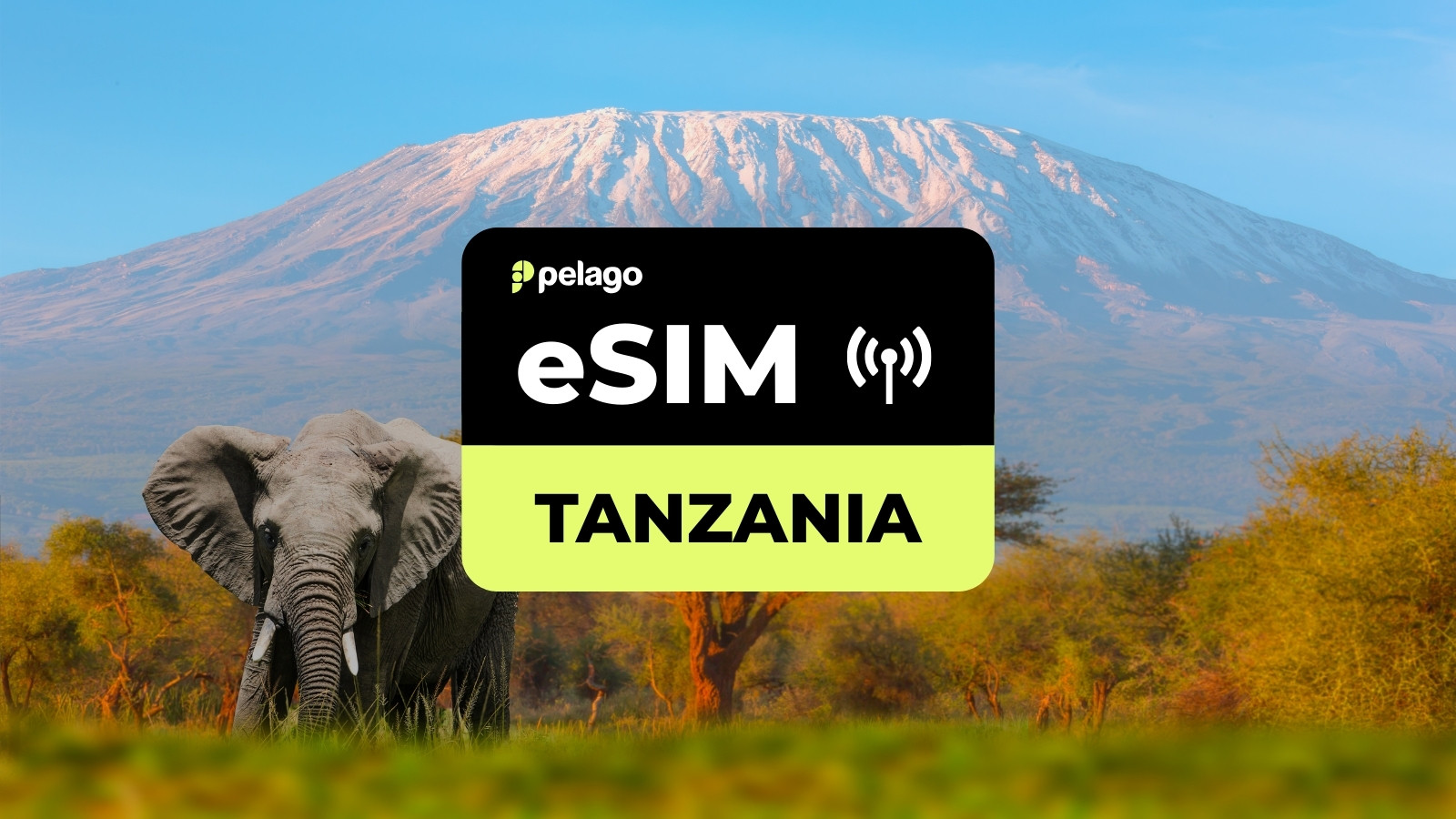 Tanzania eSIM by Pelago - Photo 1 of 4