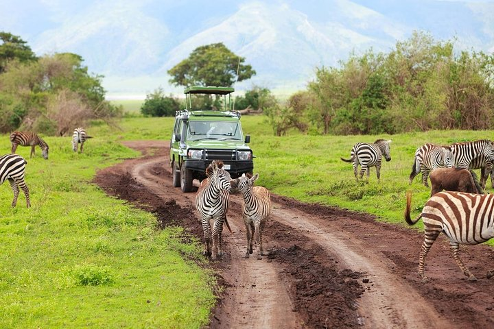 Tarangire