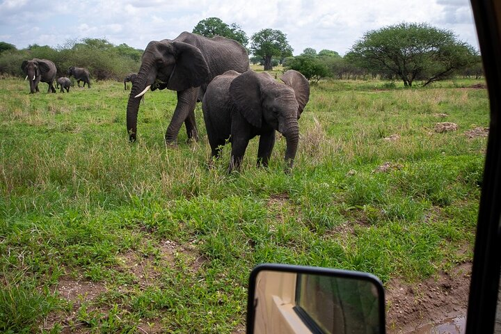 Tarangire Joint Tour(Free Accommodation before safari) - Photo 1 of 21