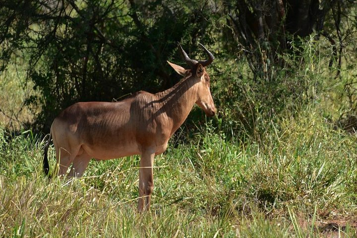 Finally you are looking at Tarangire