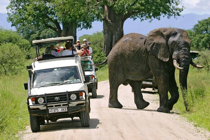 3-Day fly-in Private safari Serengeti & Ngorongoro from Zanzibar - Photo 1 of 13