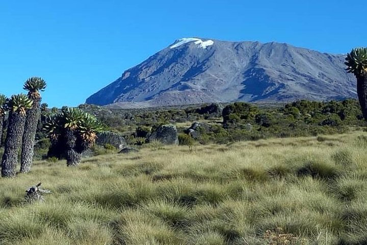 The Kilimanjaro