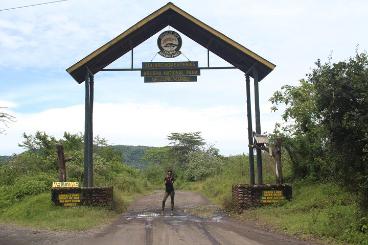 Tour at Arusha National Park - Photo 1 of 12