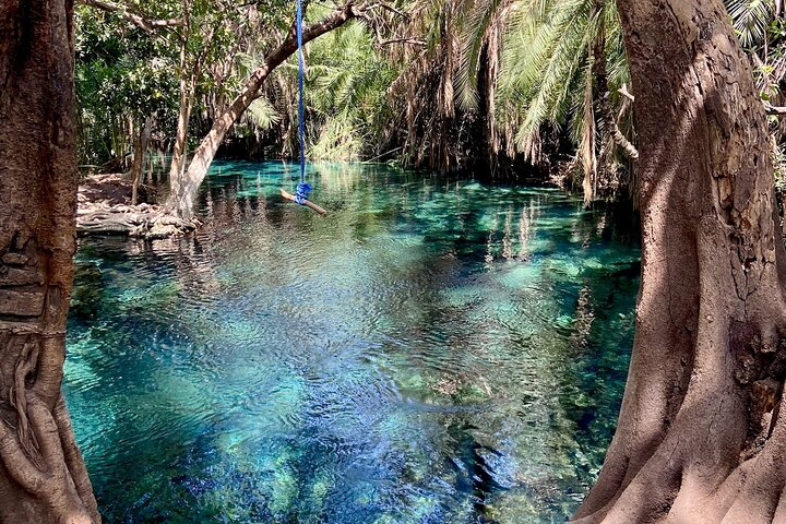 Natural spring water in a jungle oasis