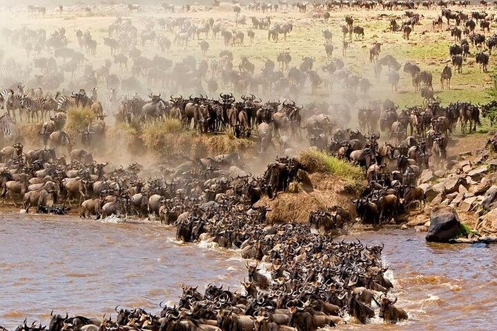 Unbelievable Trip To The Great Migration And River Crossing - Photo 1 of 7