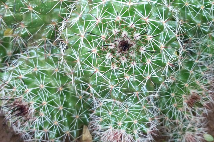 City tour and local food  - Photo 1 of 13