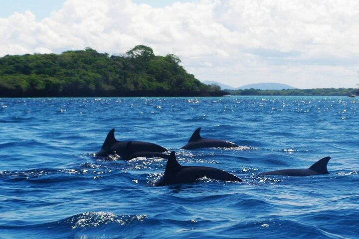 Zanzibar Full Day Mnemba Island, Nungwi and Kendwa Beach Tour - Photo 1 of 11