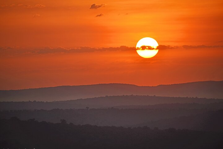 12-Day Super Luxury Wildlife Tour in Entebbe Uganda - Photo 1 of 15