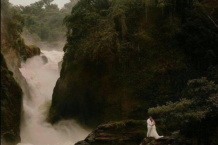 7 Days Group Game viewing, chimpanzee & Gorilla trekking - Photo 1 of 10