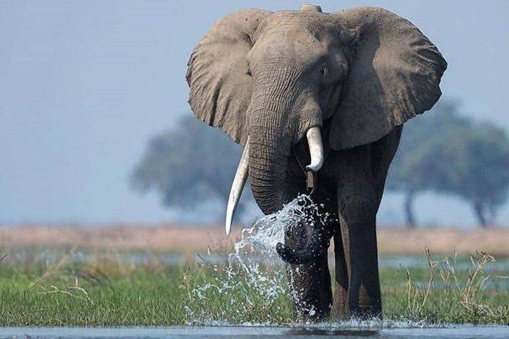 10 Days Affordable Gorilla Trekking Holiday - Photo 1 of 10