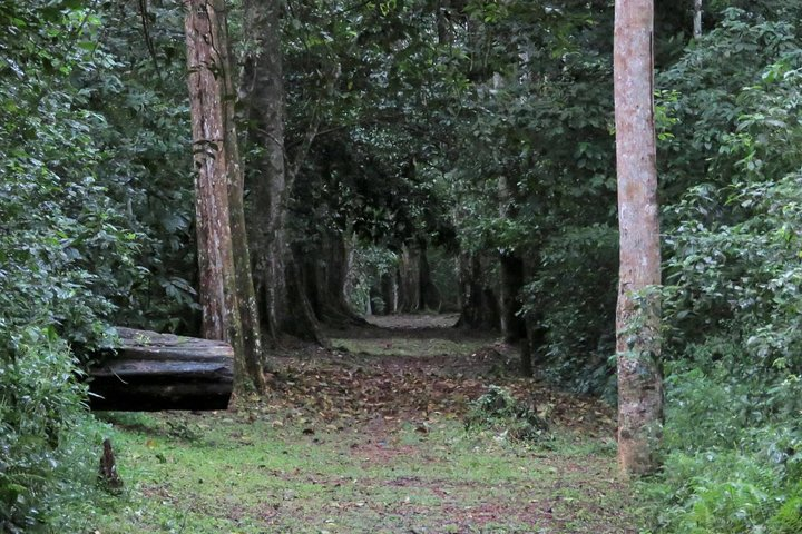 Mpanga Forest Walking and Hiking Trail