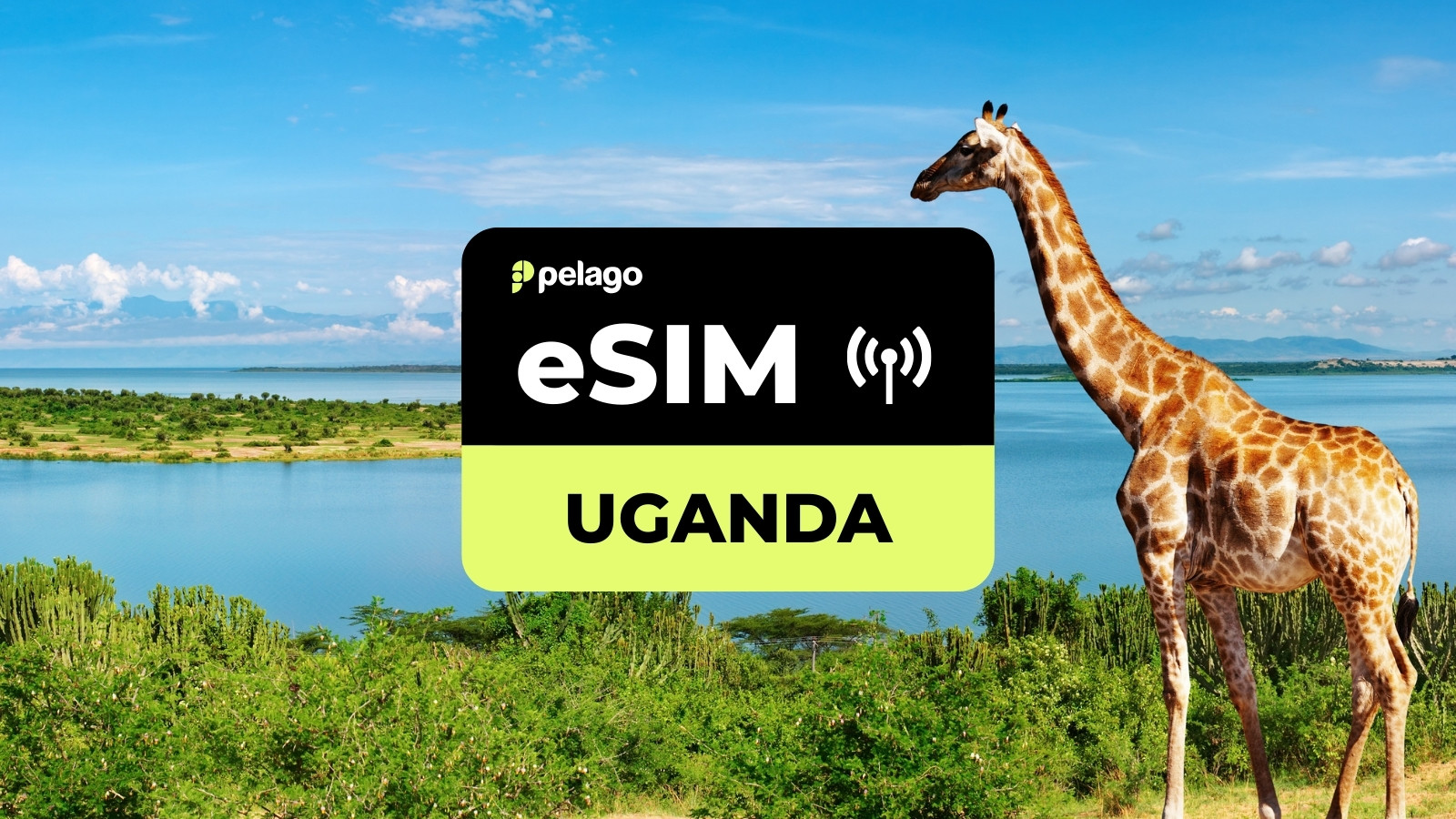 Uganda eSIM by Pelago - Photo 1 of 1