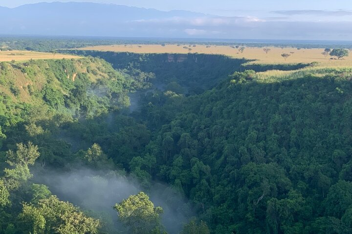 Uganda Gorilla Safari - Photo 1 of 2