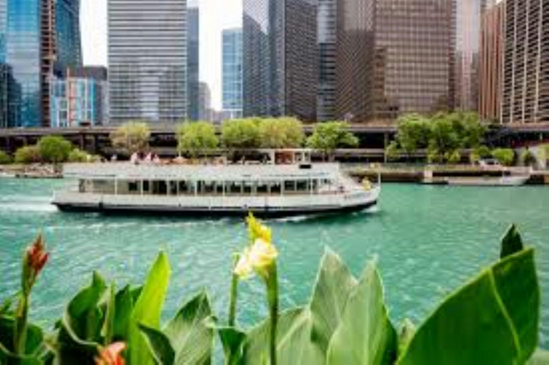 芝加哥的芝加哥：45 分钟建筑观光游船| Pelago