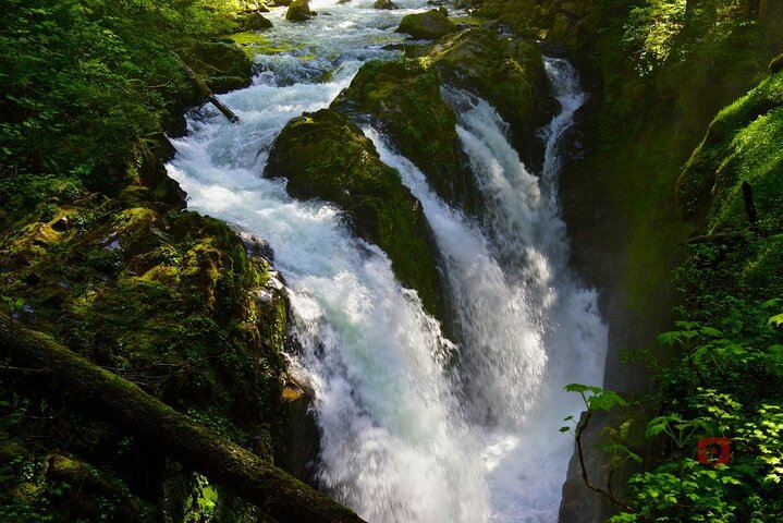 Self-Guided Audio Driving Tour in Olympic National Park in Port