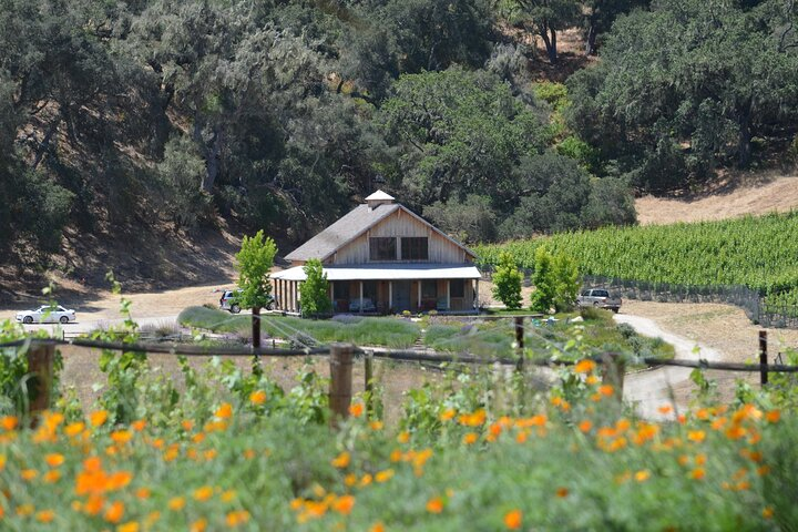Santa Barbara Wine Tour Experience Authentic and Boutique in
