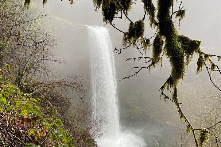 Silver Falls Waterfall Hiking Tour from Portland in Portland