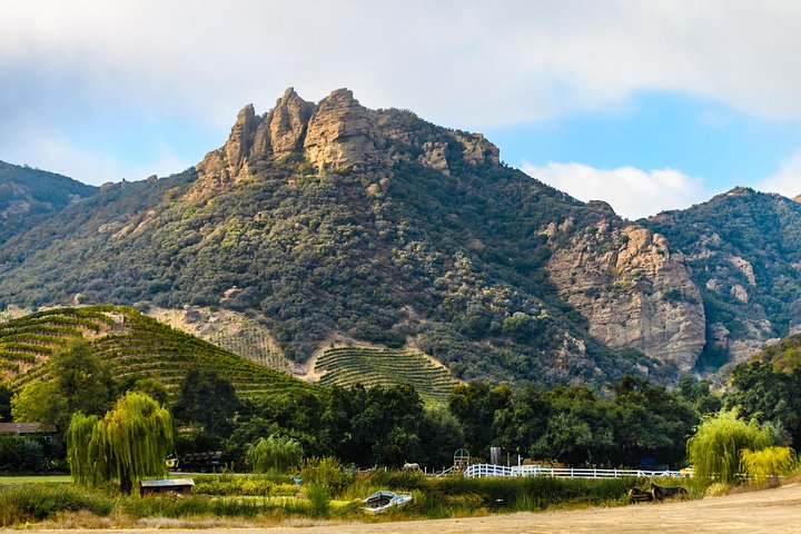 Malibu: Guided Vineyard Hike with Photo Stops and Wine in Malibu