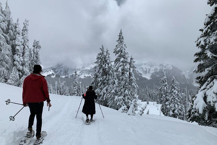 Rainier Tour and Guided Hike in Seattle Pelago
