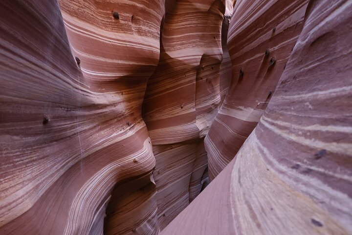 Zebra Slot Canyon Hiking Tour in Escalante in Bryce Pelago