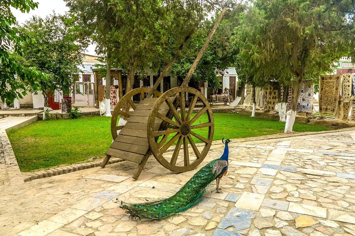 Mokhi Khosa