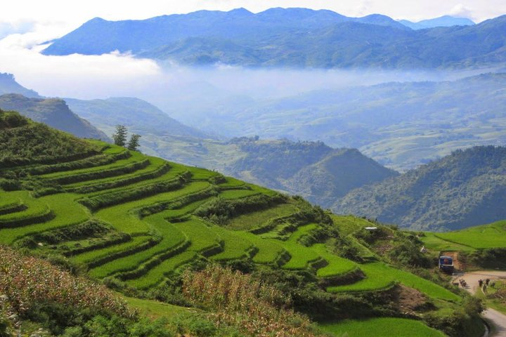 Sapa Rice Terrace