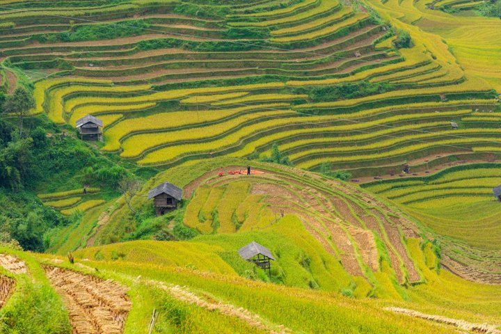 Best of Vietnam in 15 Days: Sapa Trekking, Halong Bay & more - Photo 1 of 25