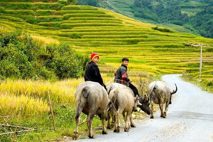 Sapa Tour