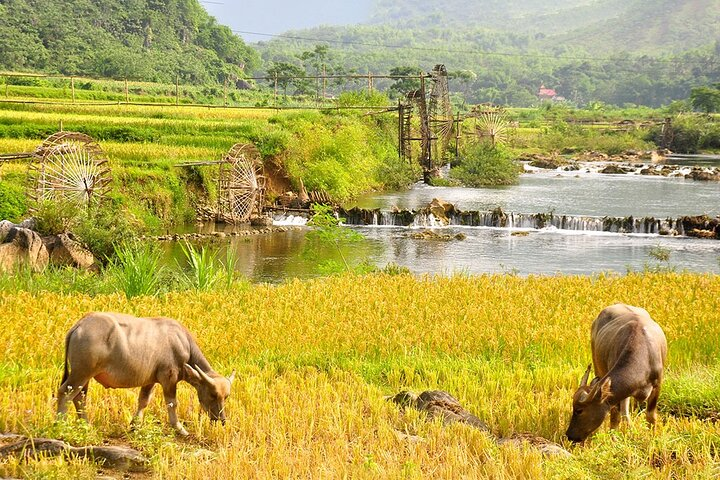 2 Days Pu Luong Offbeat Trekking Best for Mountain Lovers - Photo 1 of 11