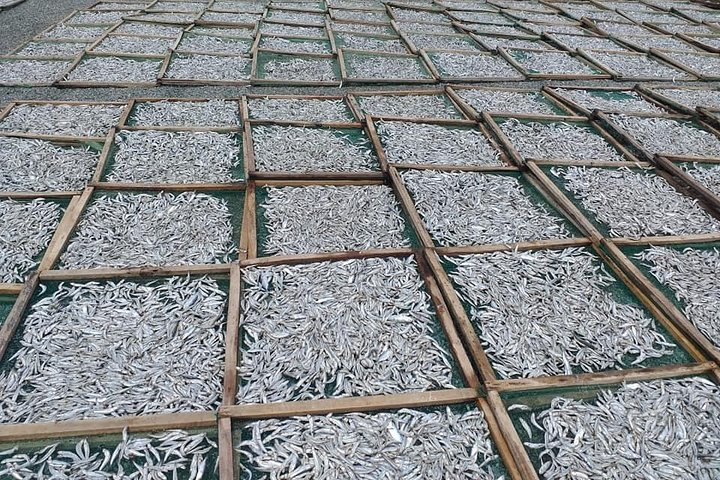 Dry fish at the fishing village