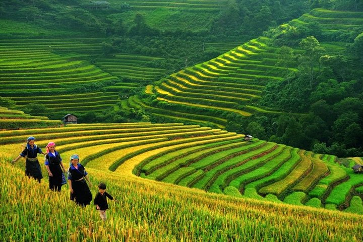 3-Night Sapa Trek and Homestay with Round Trip Transfer from Hanoi - Photo 1 of 17