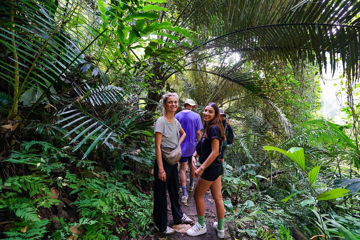 4-Day Jungle Trekking in Ba Be National Park - Photo 1 of 18