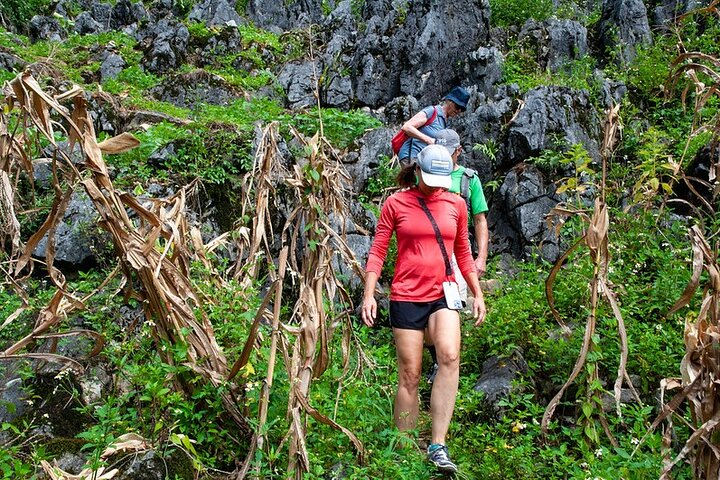 4-day Trekking in Ha Giang - Tay Con Linh - Photo 1 of 12
