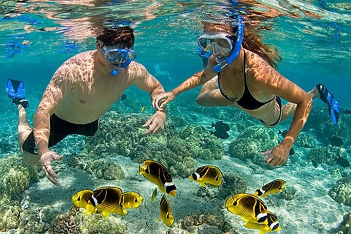 Immerse yourself in the underwater world of Phu Quoc where colorful fish dart among coral reefs inviting you to explore the beauty of marine life while enjoying a refreshing escape.