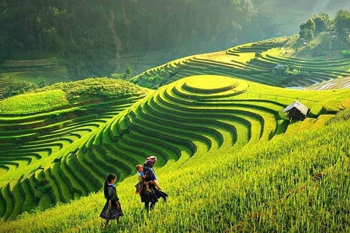 Immerse yourself in the stunning terraced rice fields of Sapa where the beauty of nature meets the warmth of local culture creating an unforgettable travel experience.