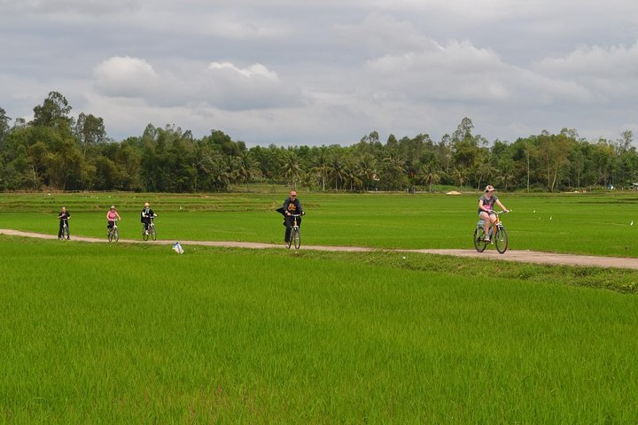 Through the rice field