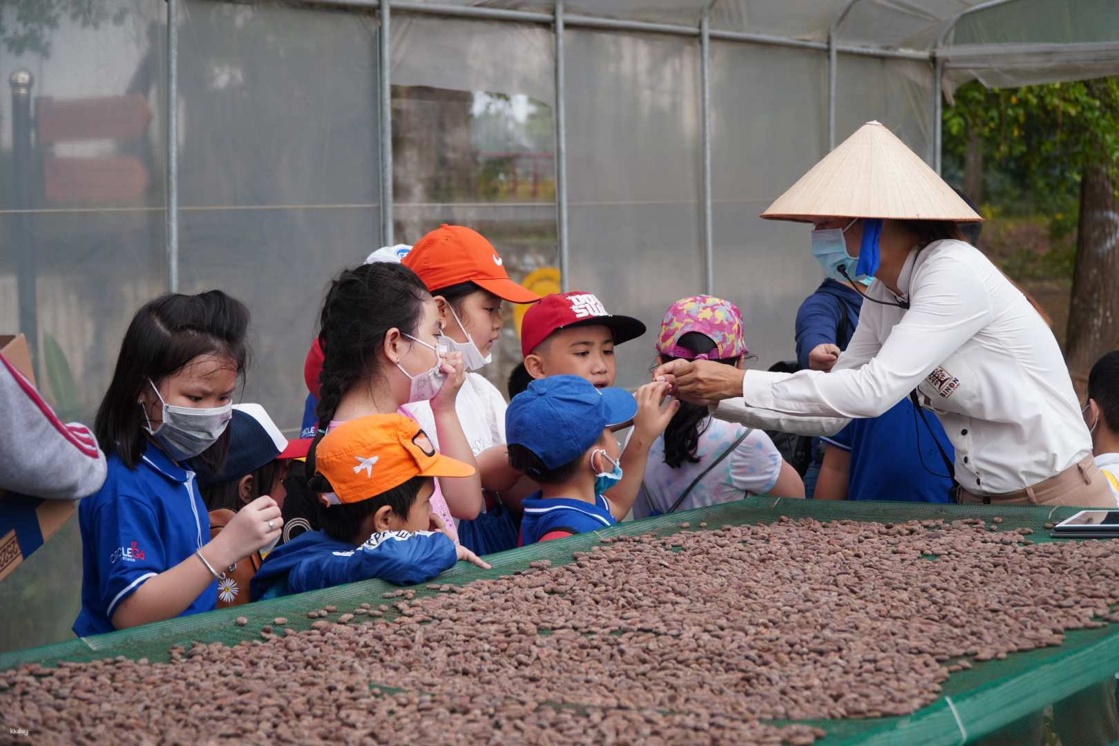 Full Day | Experience to Farm and Chocolate at Binon Cacao Park | Ho Chi Minh - Vung Tau (English Guide) - Photo 1 of 9