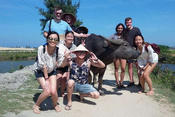 Buffalo riding and Basket Boat Half Day Tour dalam Kota Hoi An | Pelago