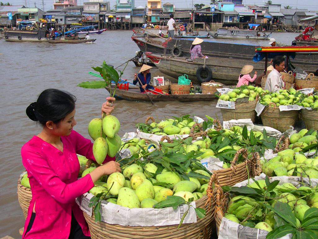 Explore the bustling Cai Rang Floating Market where locals trade fresh produce and goods from colorful boats offering a unique glimpse into the daily life of the Mekong Delta.