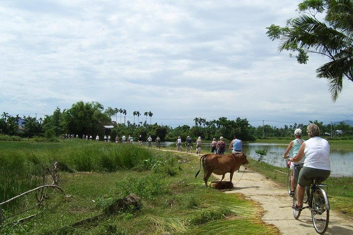 Cam Kim Island Cycling And River Cruise - Photo 1 of 6