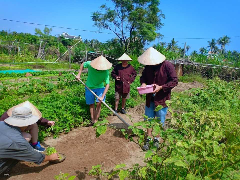 Cam Thanh Cycling & Thanh Dong Organic Farm | from Hoi An, Vietnam - Photo 1 of 9