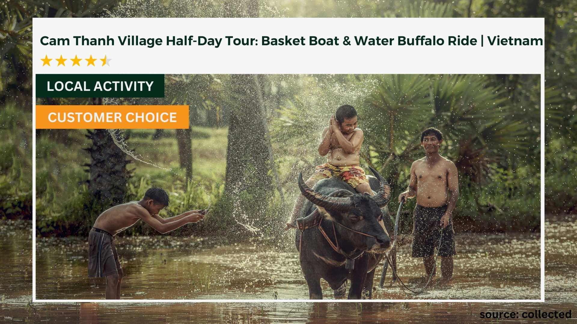 Cam Thanh Village Half-Day Tour: Basket Boat & Water Buffalo Ride | Vietnam - Photo 1 of 6