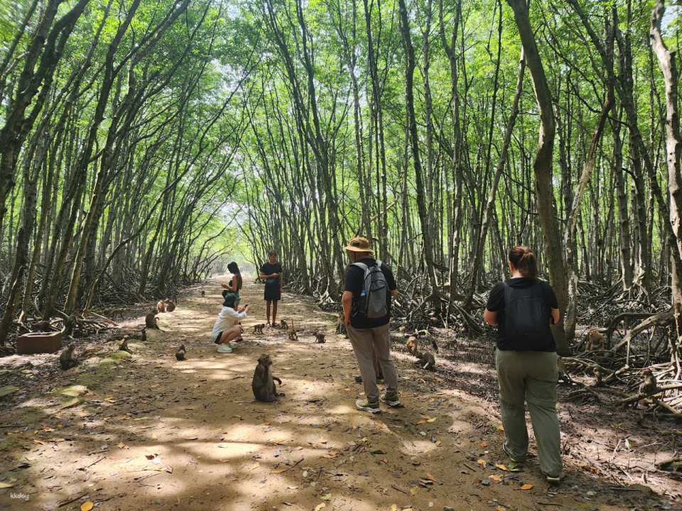 Can Gio Day Trip: Monkey Island & Mangrove Adventure | From Ho Chi Minh, Vietnam - Photo 1 of 4