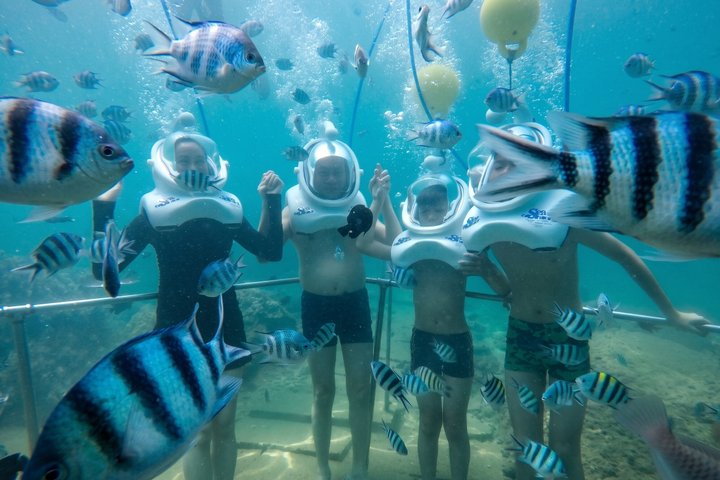 Cham Island Sea Trek and Snorkeling by Speedboat - Photo 1 of 14