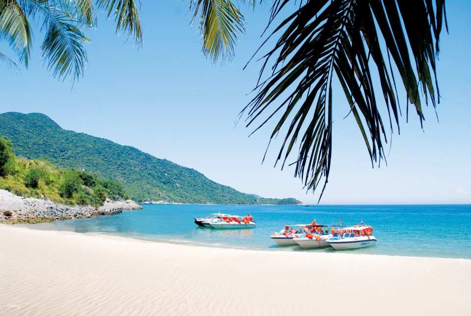 Cham Island Sightseeing & Snorkeling Tour | from Hoi An, Vietnam - Photo 1 of 8