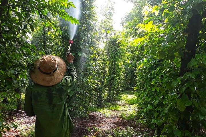 Cooking, Farming and Waterfall In Vietnam Countryside - Photo 1 of 8