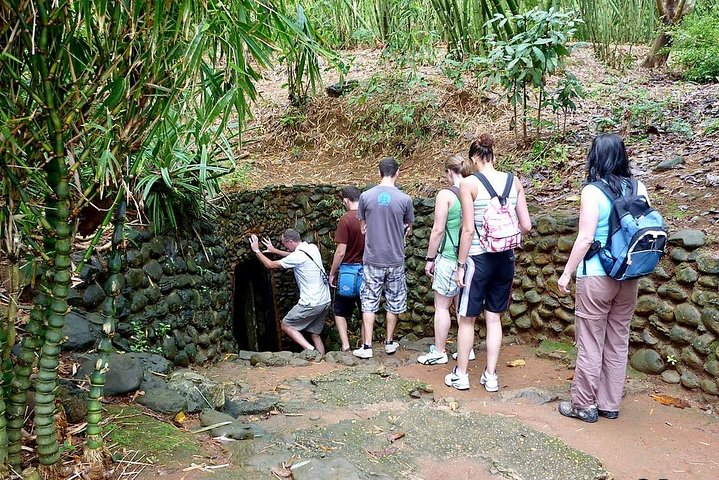 Cu Chi Tunnels Private Shore Excursion from Ho Chi Minh City (Phu My), Vietnam