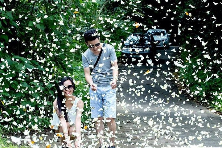 Cuc Phuong National Park - Ninh Binh - Photo 1 of 5